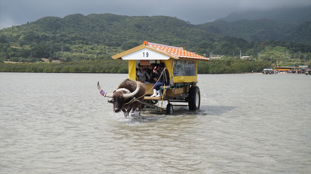 20150223 12550901.JPG