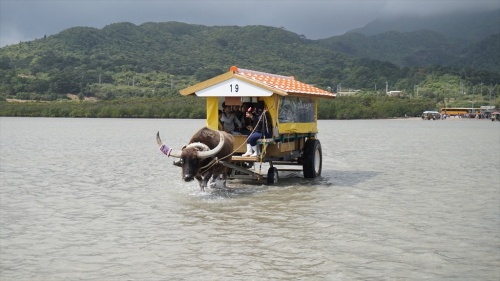 20150223 12550901.JPG