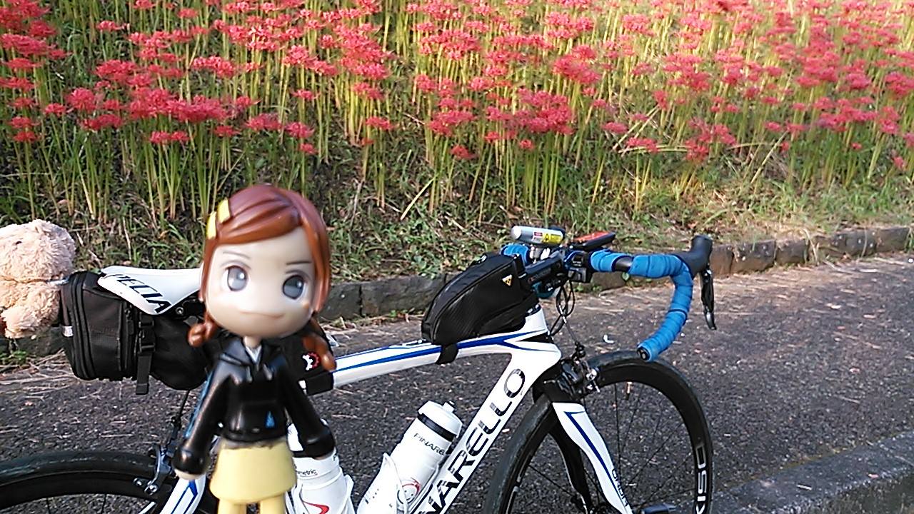 自転車 と ぶつかり そう に