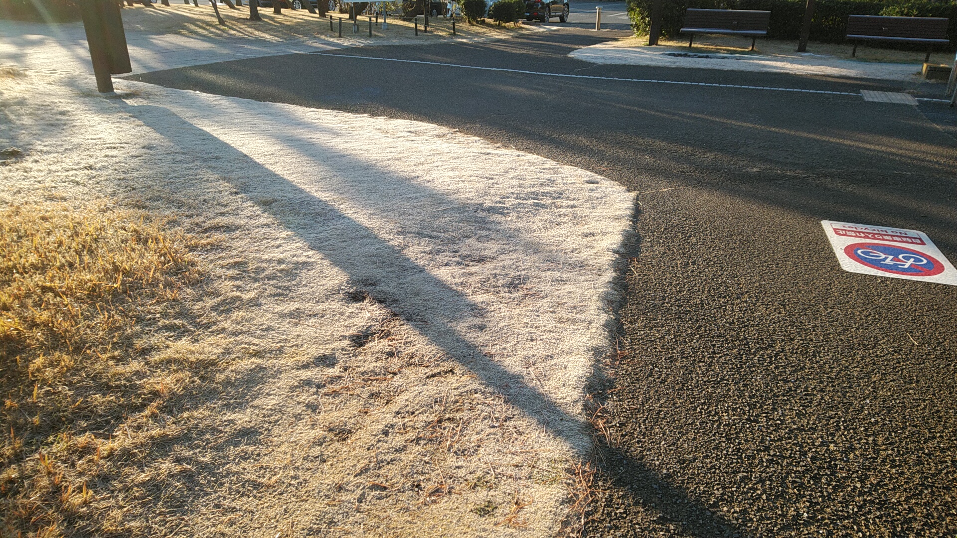 20220104  DSC_0001.jpg