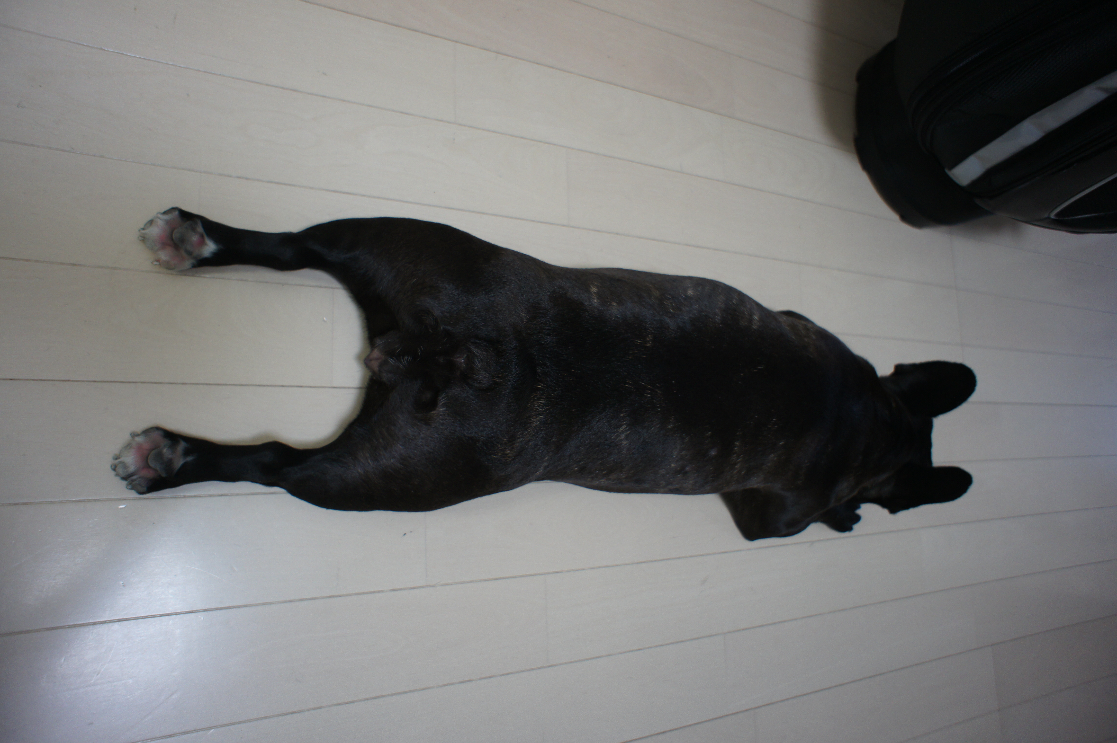 C:\fakepath\2012 07 01 265.JPG