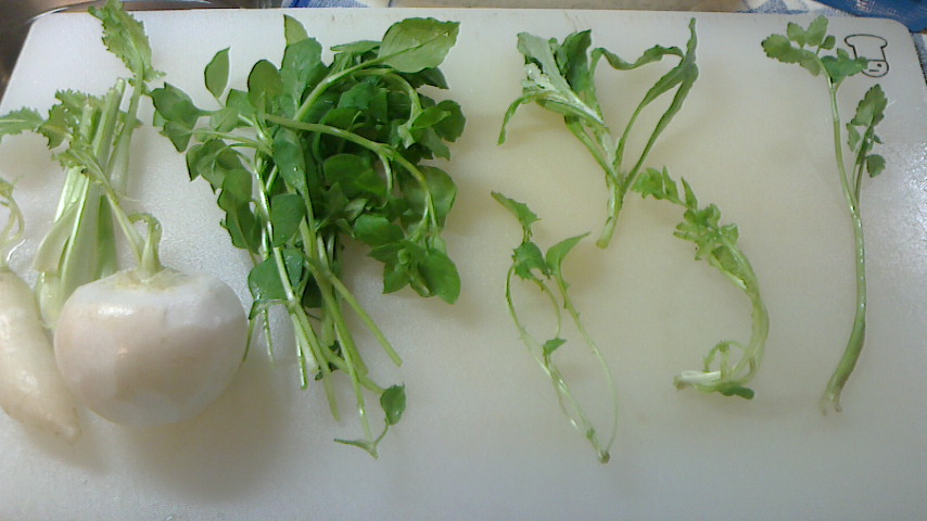 NEC_0101.JPG