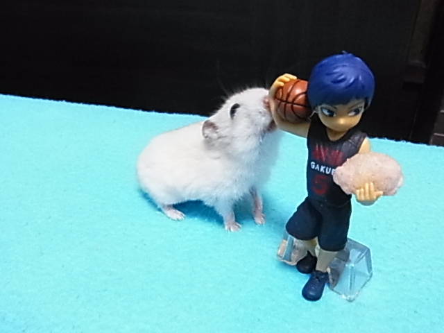 2014_07070049.JPG