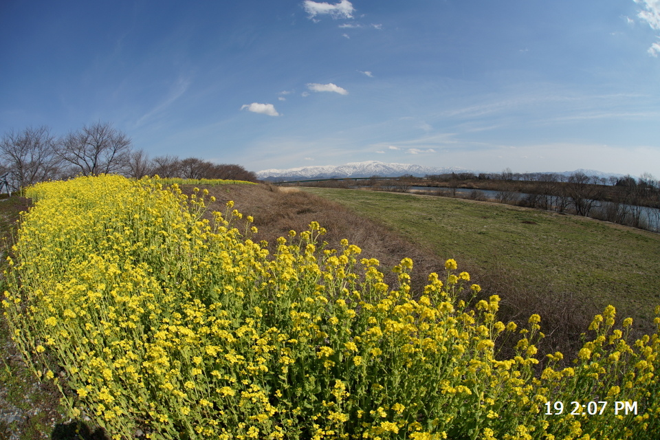 DSC00161 s.JPG