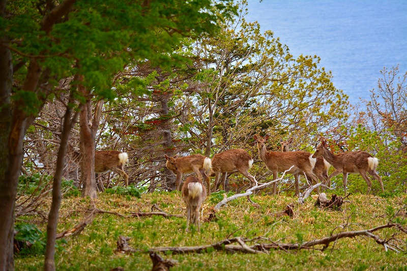 DSC_0643.jpg