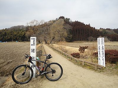 130307yugyoyanagi.jpg