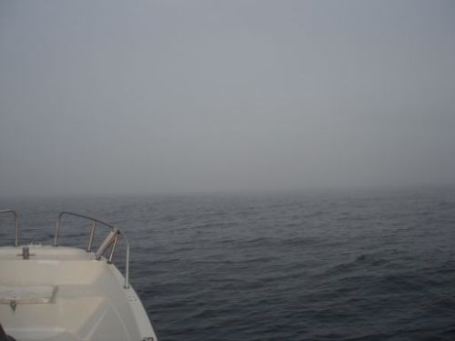 濃霧.jpg