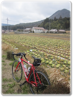 8746R40沿線風景（キャベツ畑＆龍頭山）_8746.jpg