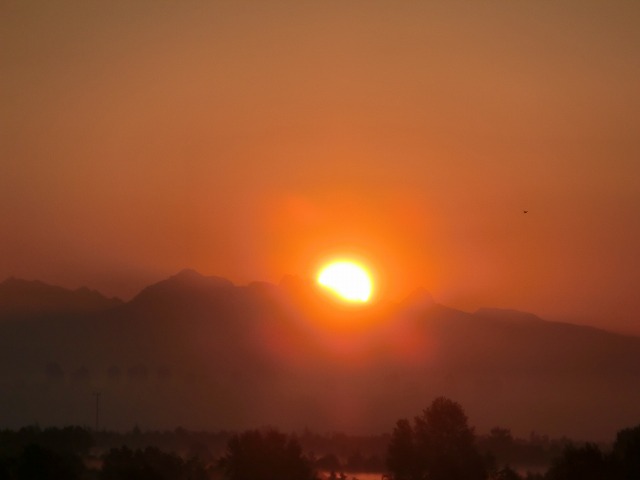 0805 sunrise.jpg