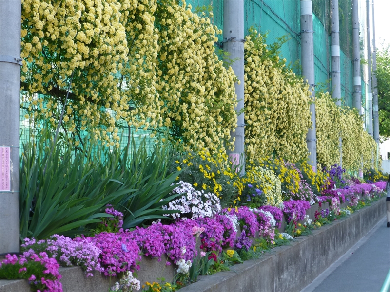 RP1100334.JPG