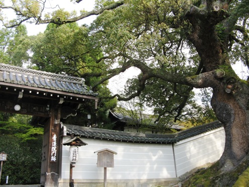 門跡２.jpg