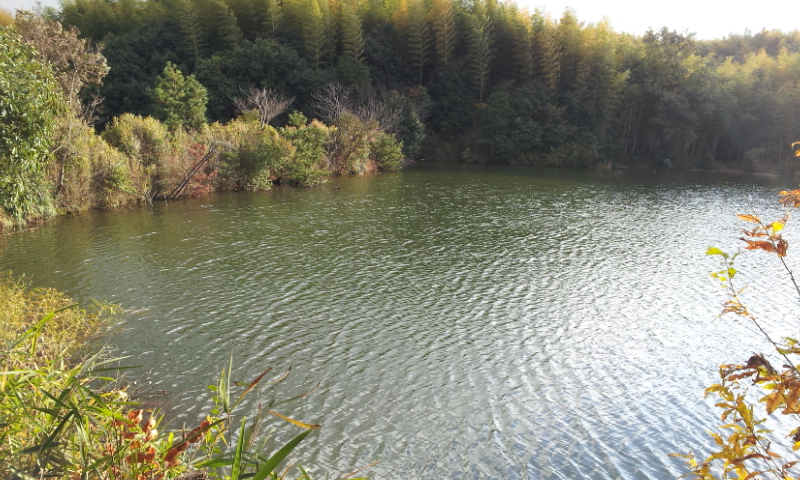 C:\fakepath\2012-12-12 15.11.38[1].jpg