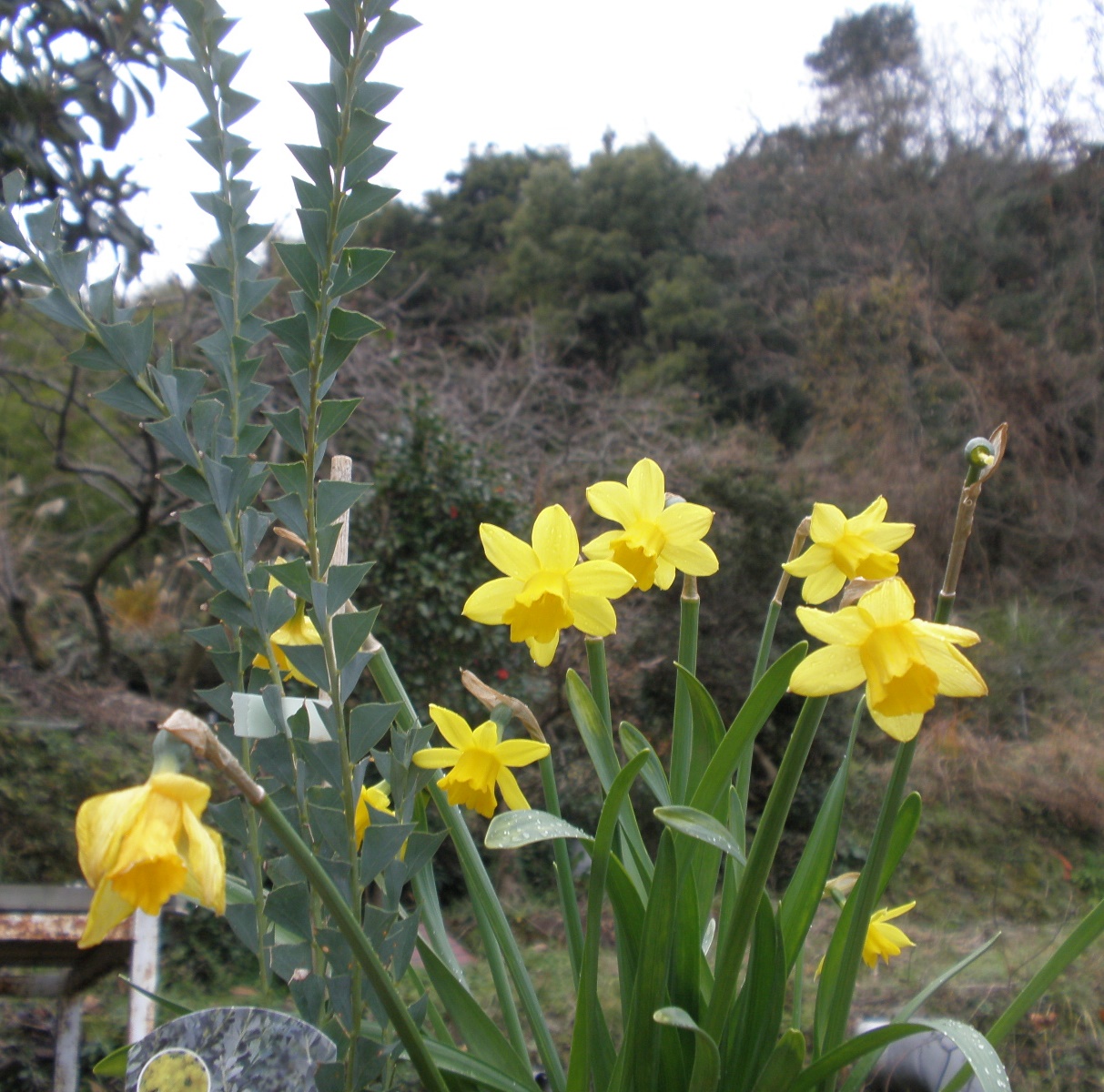 P1121755.JPG