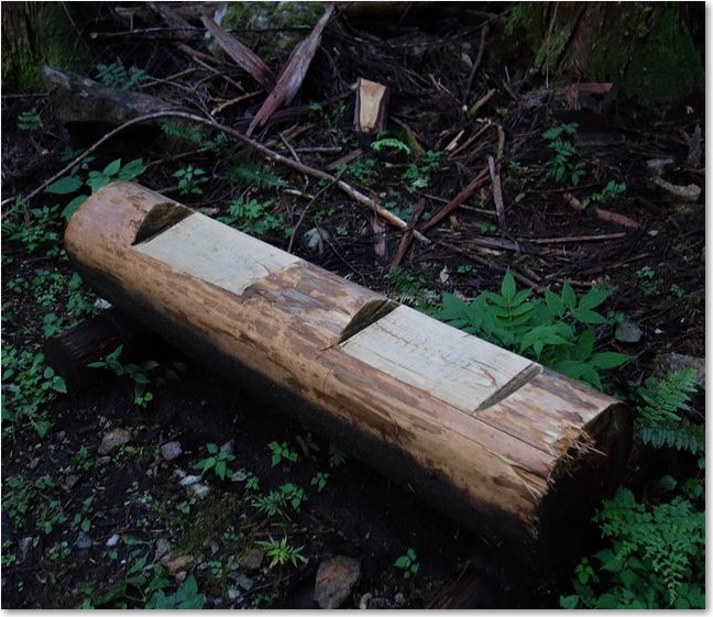 130ベンチまであります　＾＾＾）