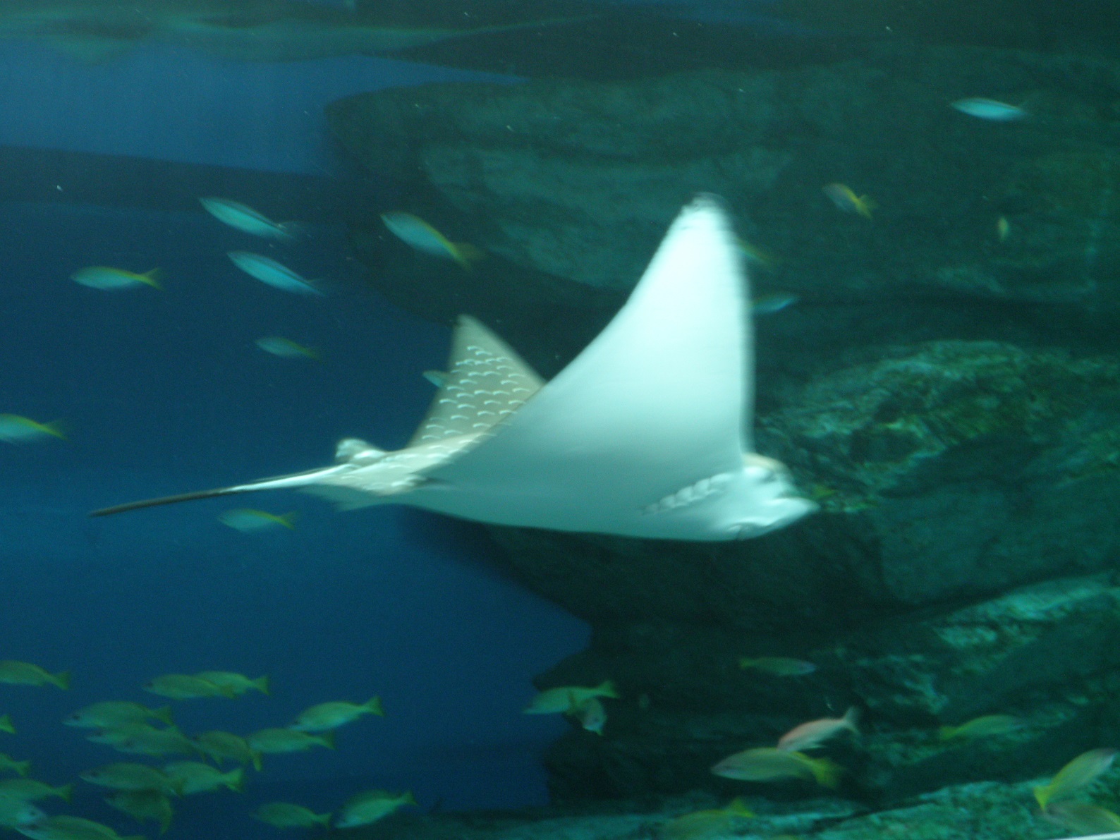 P4112071.JPG