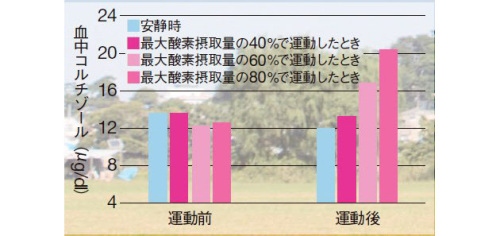 スロージョギング1.jpg