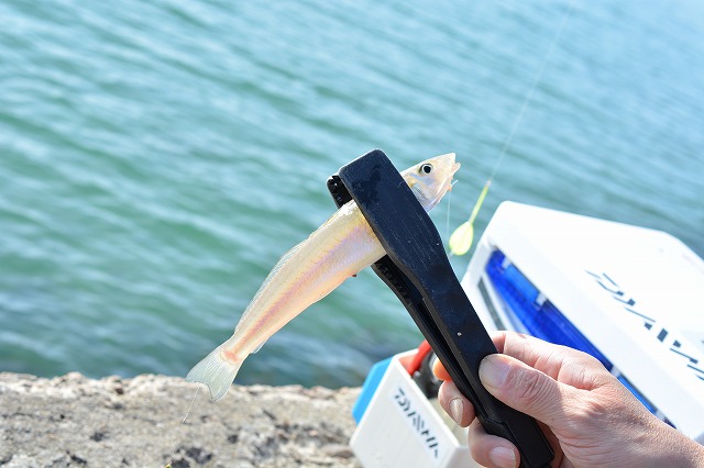 showPhoto (640×426)