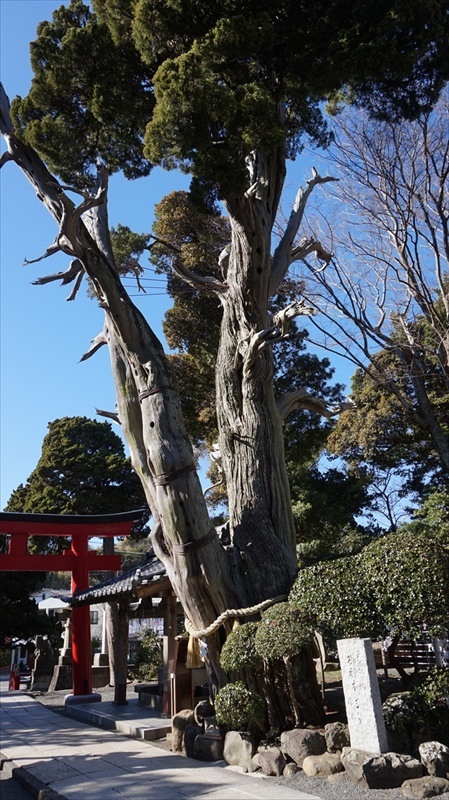 20150108 11371001.JPG