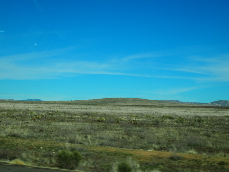 P3032138.JPG