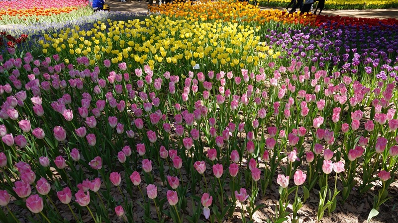 20150430 10323001.JPG