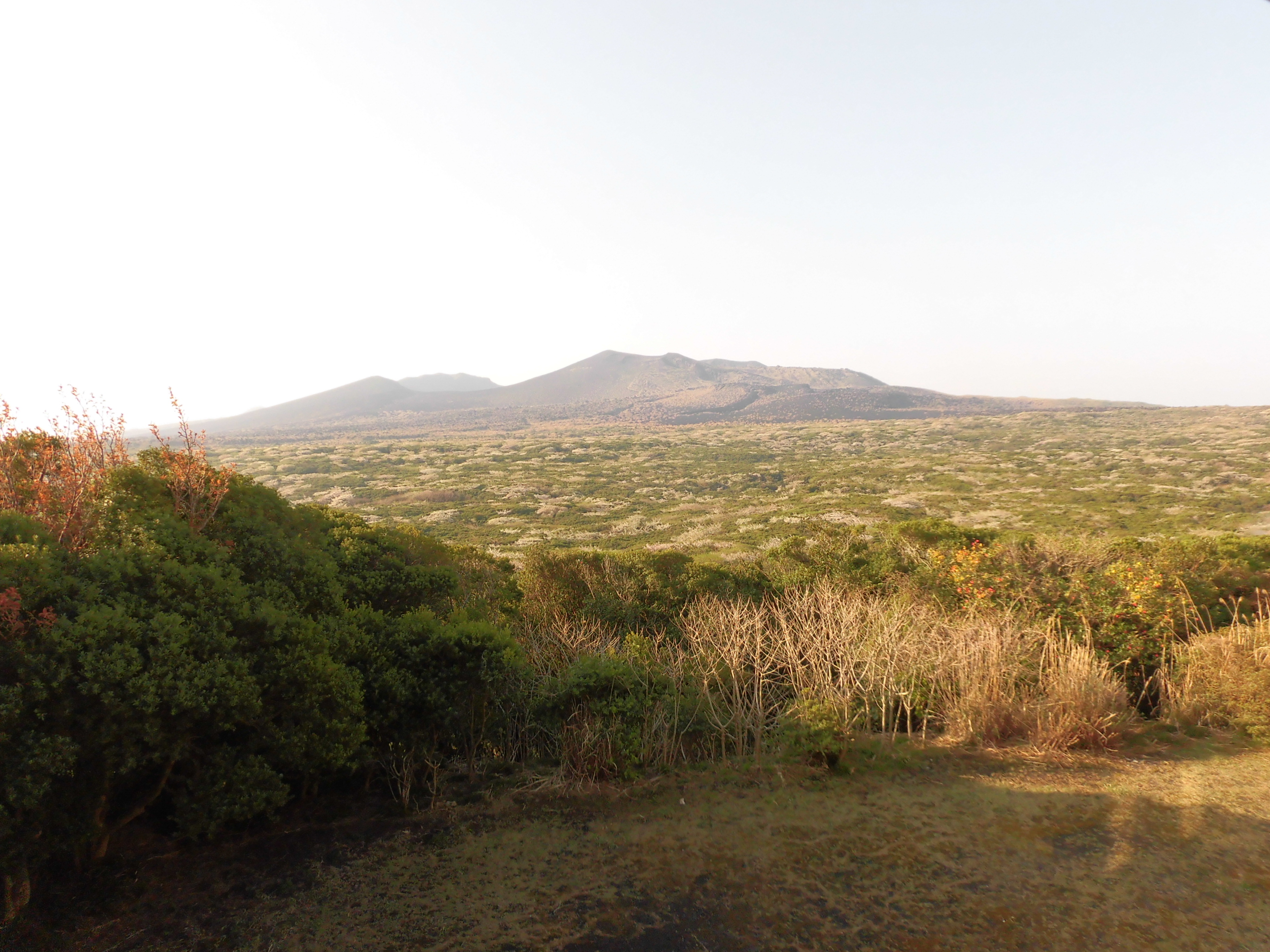 CIMG0796.JPG