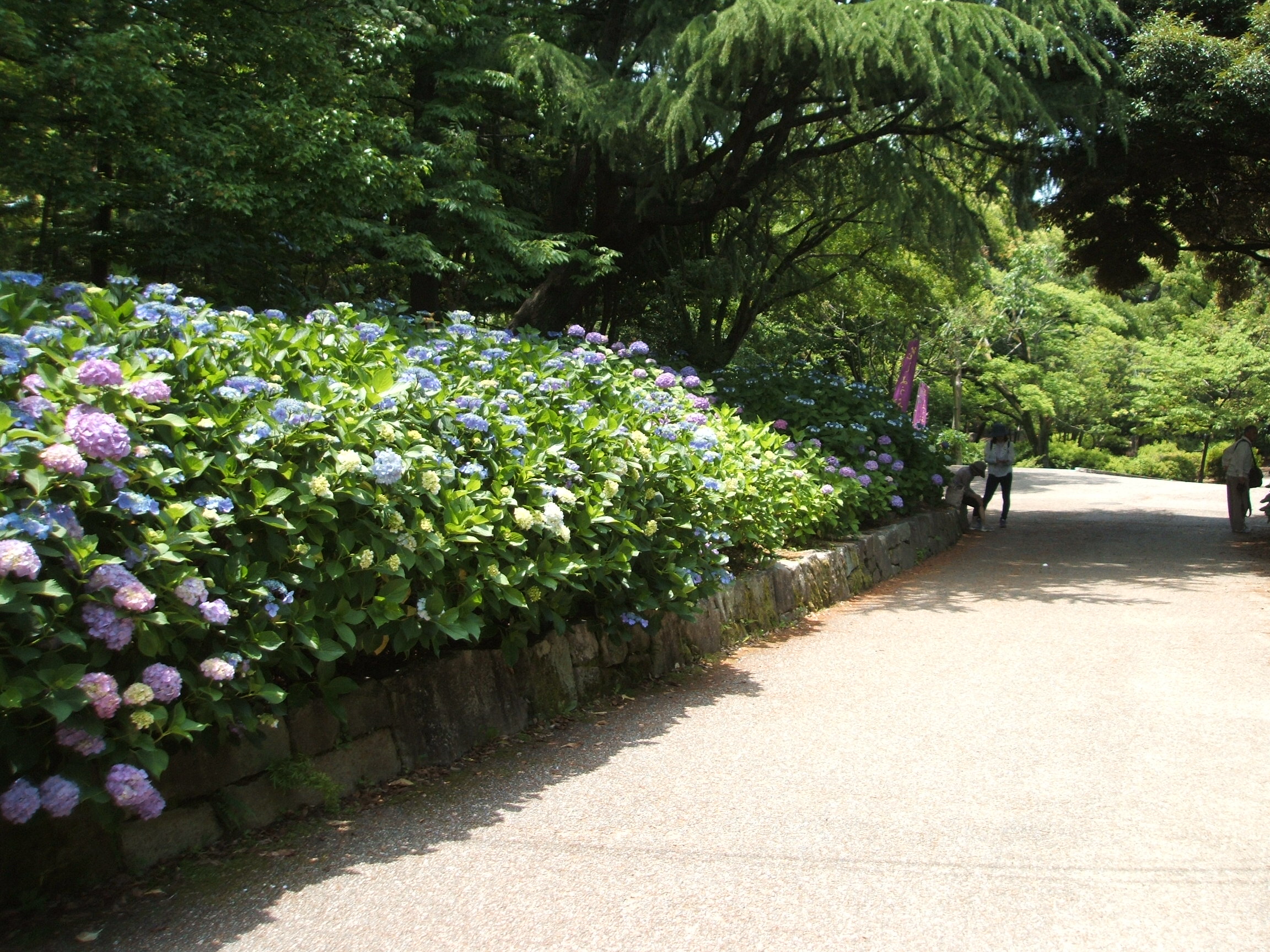 DSCF3639.JPG