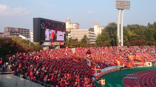 2015-10-24 15.45.28.jpg