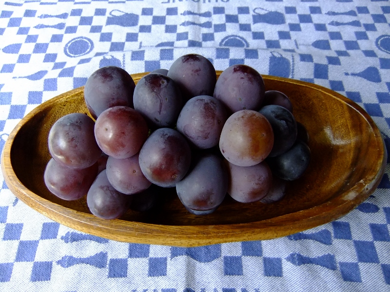 DSCF5576 (800x600).jpg