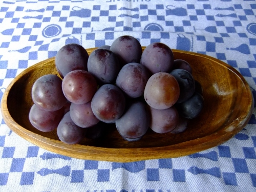 DSCF5576 (800x600).jpg