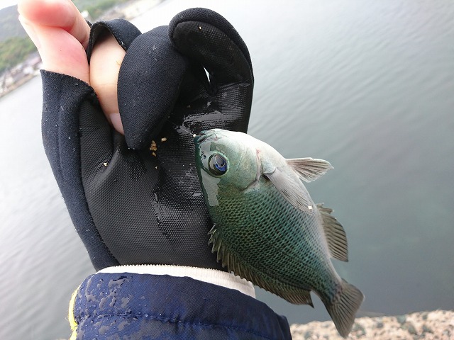 showPhoto (640×480)