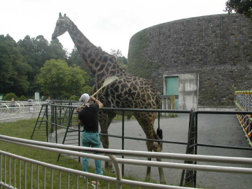 熱帯動物館