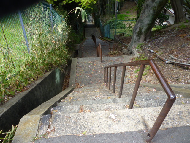 P1070431.JPG