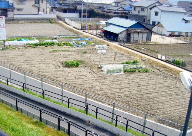 DSCF3936 (640x455).jpg