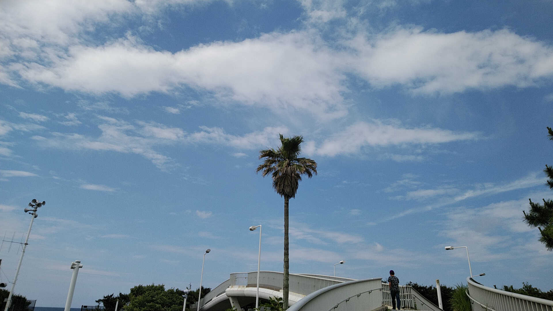 20220612  DSC_0001.jpg