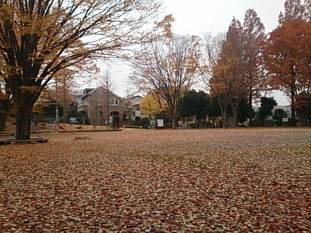 20171130  DSC_0007.jpg