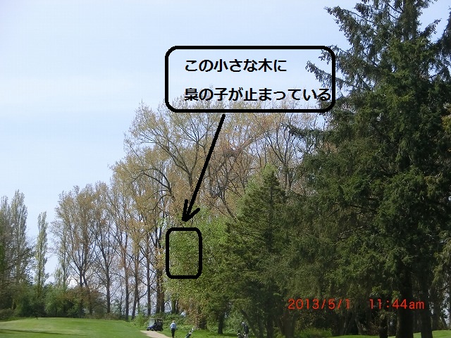 遠景　説明入り.jpg