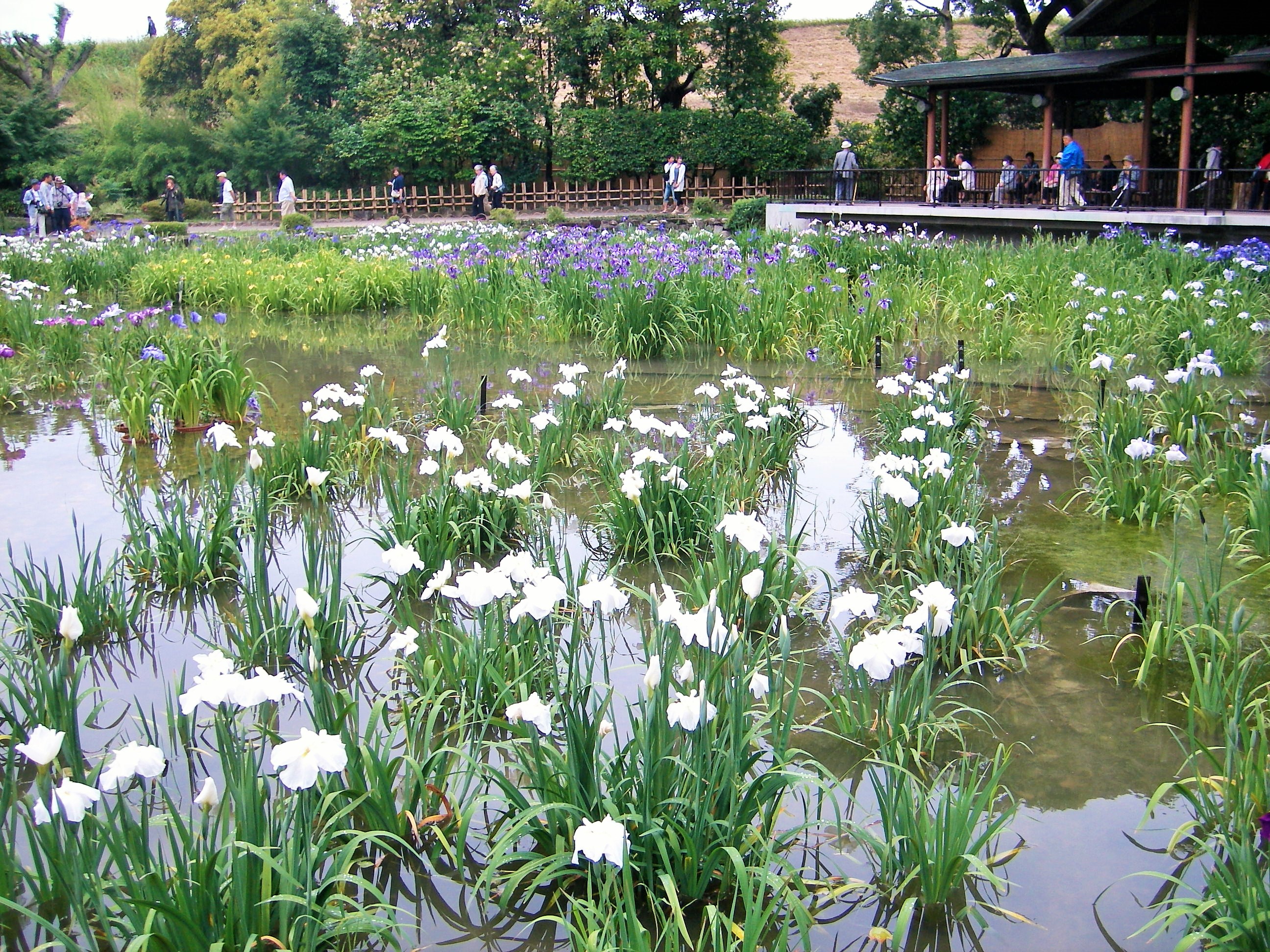 UNI_0025.JPG