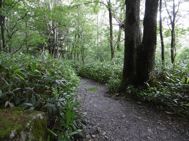 P1250336_R.JPG