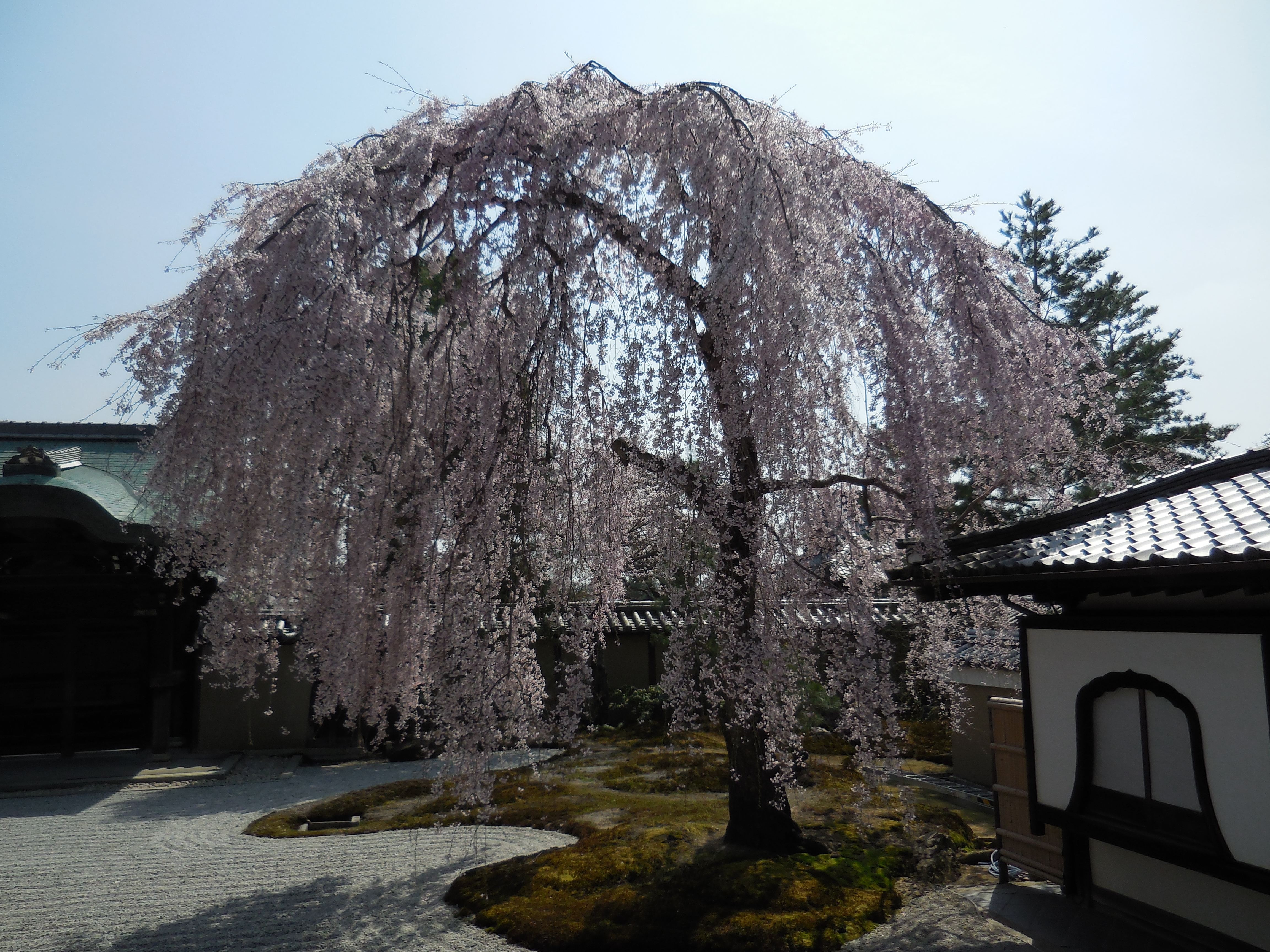 DSCN2034.JPG