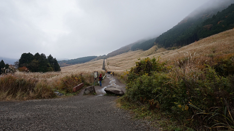 20141112 10541501.jpg