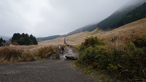 20141112 10541501.jpg