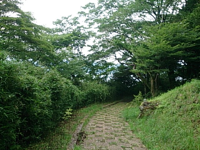20150627  DSC_0002.jpg