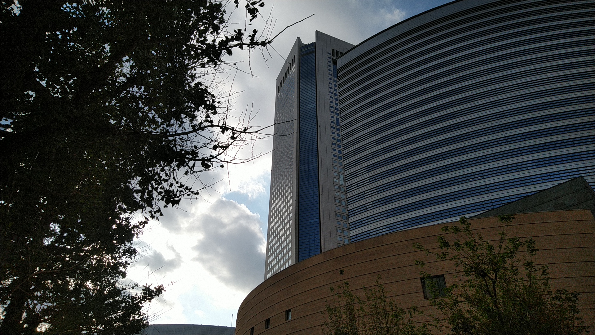 20191027  DSC_0002.jpg.jpg