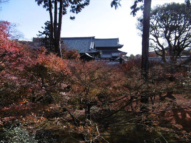 P1270370.JPG