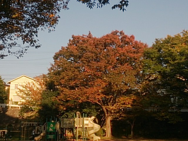 20171107  DSC_0003.jpg