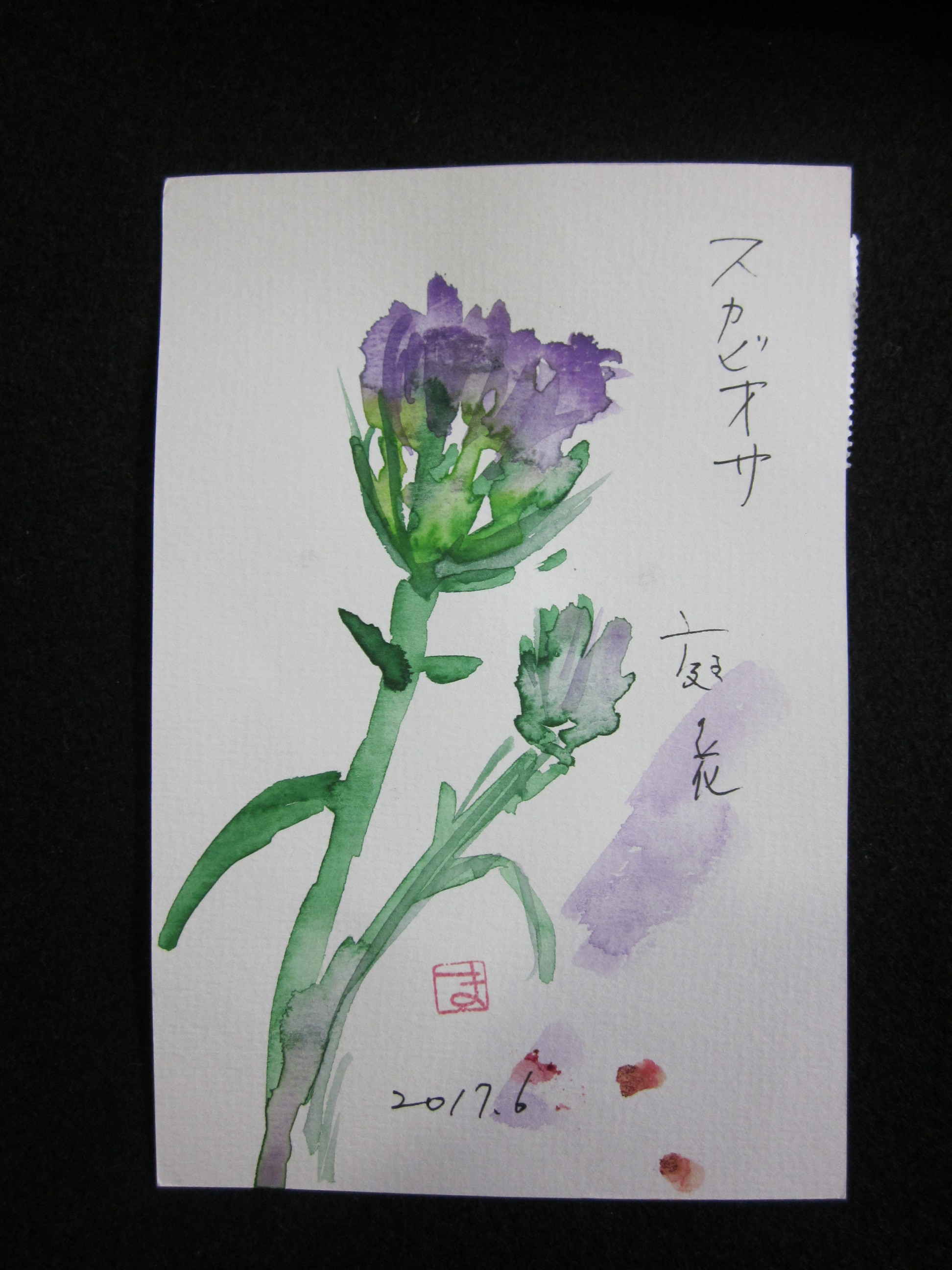 IMG_4335.JPG