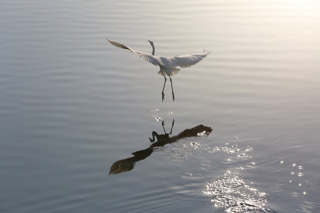 B97A6649 (1024x683).jpg