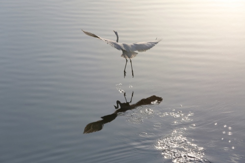 B97A6649 (1024x683).jpg