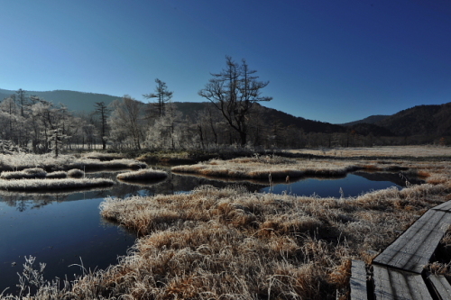 霜と氷の尾瀬ヶ原201311106.jpg