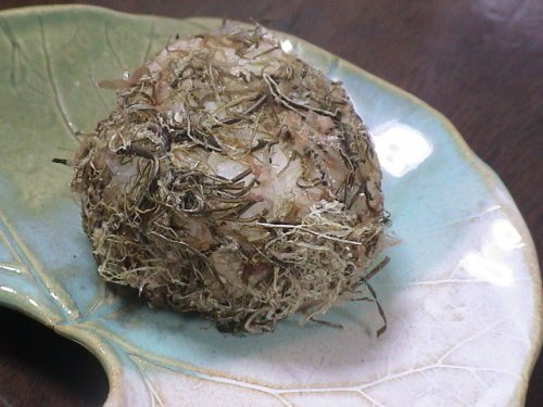 ねこんぶまんま (5).JPG